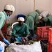 Rwanda expands cold storage as farm subsidy gap reaches Rwf17.2 billion