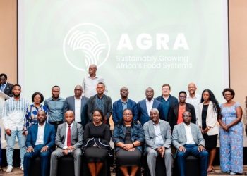 Quality seeds key to boosting agriculture, food security, officials say