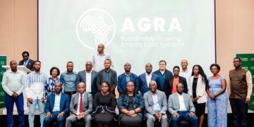 Quality seeds key to boosting agriculture, food security, officials say