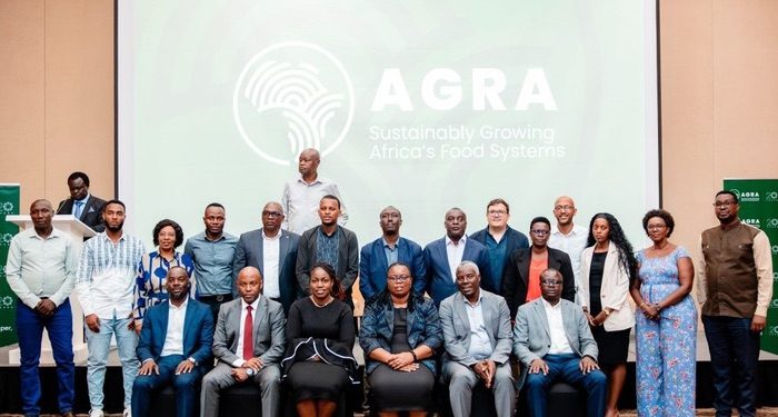 Quality seeds key to boosting agriculture, food security, officials say