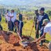 Green Amayaga II launches with $20 million to boost climate resilience