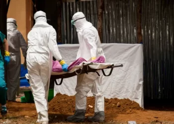 WHO hails recovery of five Ebola patients as virus cases rise