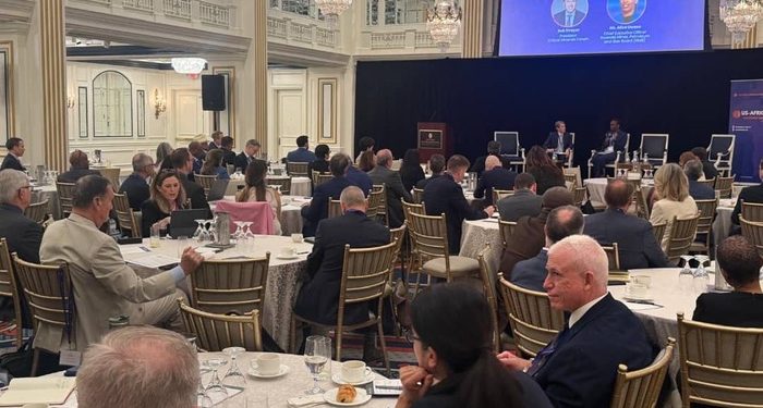 Rwanda presents mining opportunities to U.S. investors at Washington summit