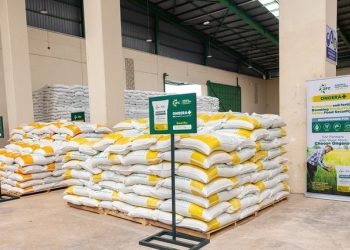Global Shocks, Local Pressure: Why Farmers Face Rising Fertilizer Costs