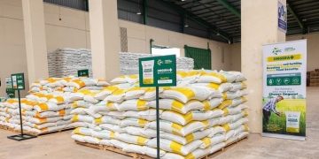 Global Shocks, Local Pressure: Why Farmers Face Rising Fertilizer Costs