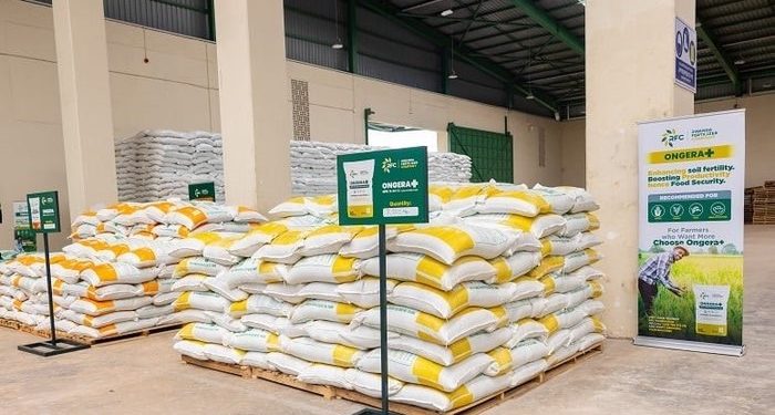 Global Shocks, Local Pressure: Why Farmers Face Rising Fertilizer Costs