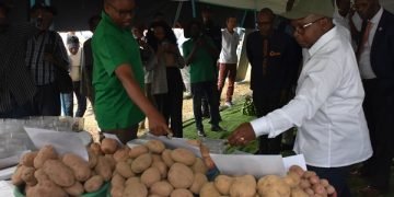 How Innovation is Turning Ideas into Business at 19th Agriculture Expo