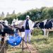 From a Queue for Milk to an Agribusiness Leader
