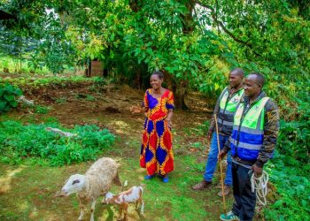 A Gift of Hope: More Vulnerable Families in Musanze Begin Their Journey Toward Self-Reliance