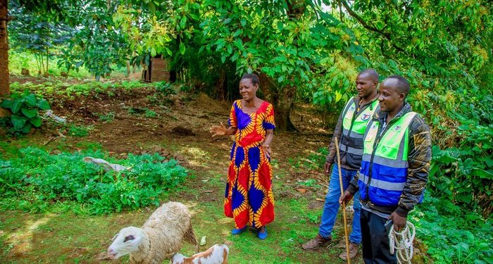 A Gift of Hope: More Vulnerable Families in Musanze Begin Their Journey Toward Self-Reliance