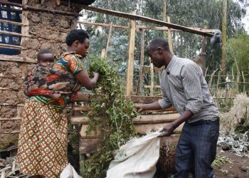 The Growing Impact of Livestock Support on Vulnerable Households