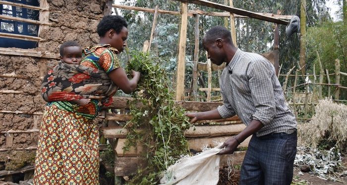 The Growing Impact of Livestock Support on Vulnerable Households