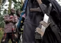 International Contact Group urges DRC to implement FDLR disarmament protocol