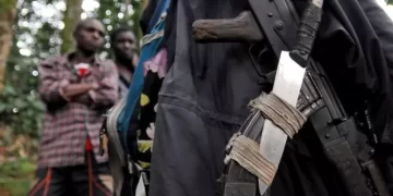 International Contact Group urges DRC to implement FDLR disarmament protocol