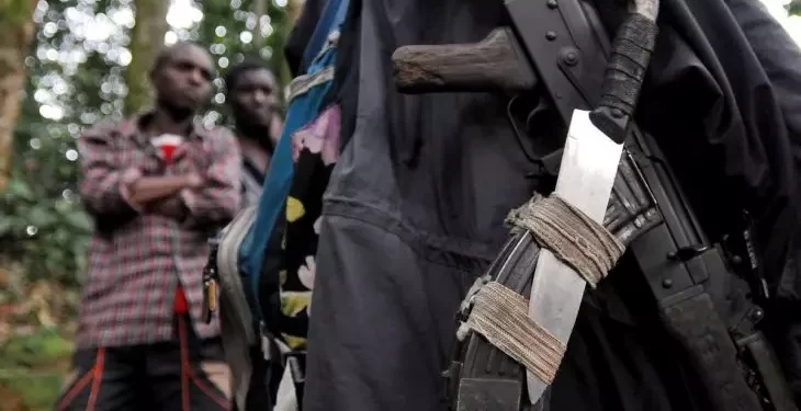 International Contact Group urges DRC to implement FDLR disarmament protocol