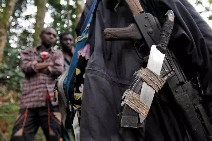 International Contact Group urges DRC to implement FDLR disarmament protocol