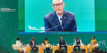 President Kagame urges young Africans to tap opportunities across food value chain