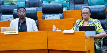 Senate flags gaps in Rwanda’s drive for reliable electricity