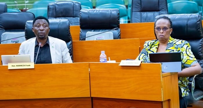 Senate flags gaps in Rwanda’s drive for reliable electricity