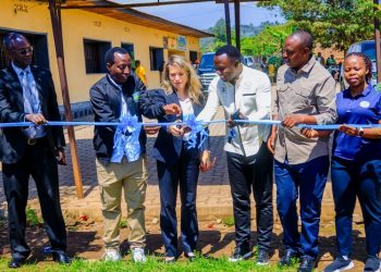 Yalla Yalla turns kitchen gardens into a tool against stunting in Musanze