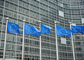 Rwanda in preliminary talks with EU countries over migrant return hub, lawmakers say