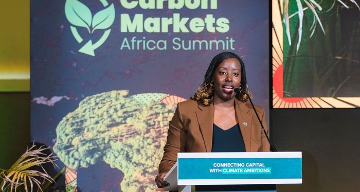 KIFC roadmap puts investment readiness at centre of green finance push