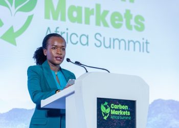 African carbon markets face test of turning project pipelines into investment