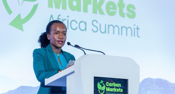African carbon markets face test of turning project pipelines into investment