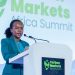 African carbon markets face test of turning project pipelines into investment