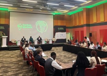 Rwanda seeks carbon investment while ensuring communities share the benefits